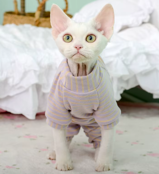 Striped Cotton Blend Tee Romper Suit